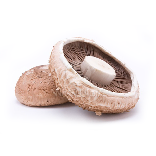fresh portobello fresh portobello