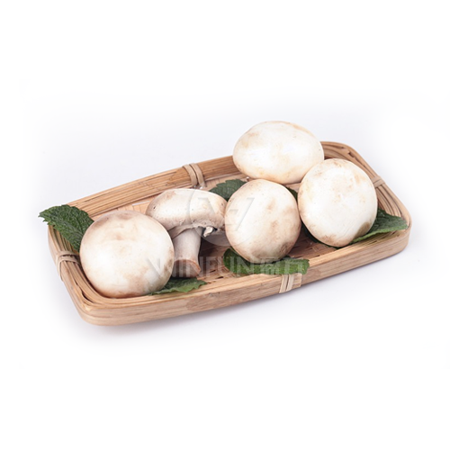 fresh bowl button mushroom fresh bowl button mushroom